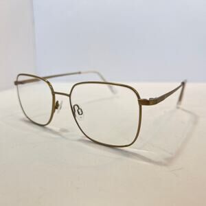 Flexon H6070 Men's Eyeglasses Matte Silver (710) 53-17-145 FRAMES ONLY
